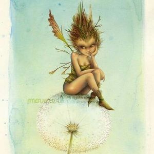 Meet your Posher, Cara